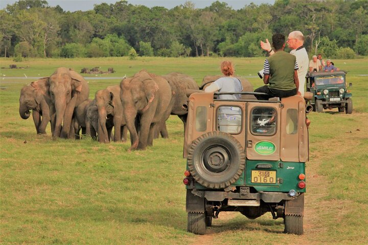 Minneriya National Park Elephant Jeep Safari - Private - Photo 1 of 12